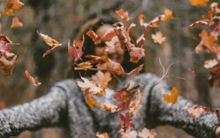 Herbst Laub Herbststimmung