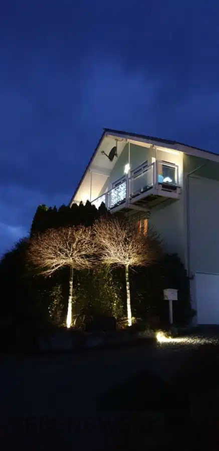 Modernes Einfamilienhaus mit fantastischer Alpensicht - Illhart TG - Aussenansicht