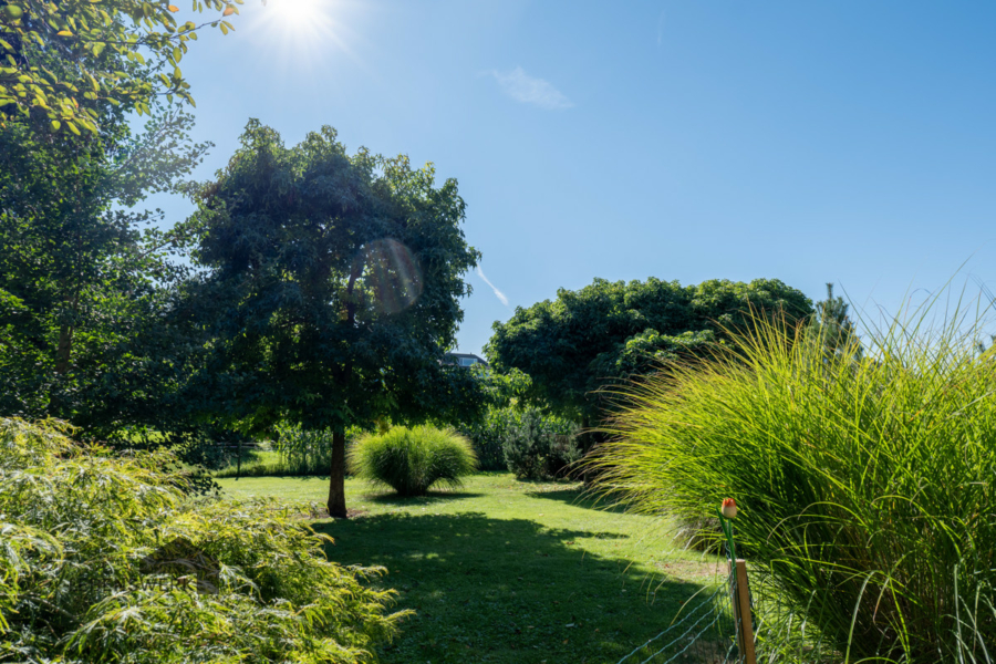 Grosser pflegeleichter Garten - Charmante 4.5-Zimmer-Wohnung mit ca. 300 m² Gartenanteil - Uttwil TG